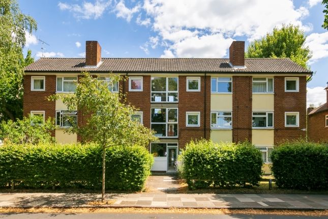 Studio to rent in Mcdougall Court, North Road, Kew, Richmond