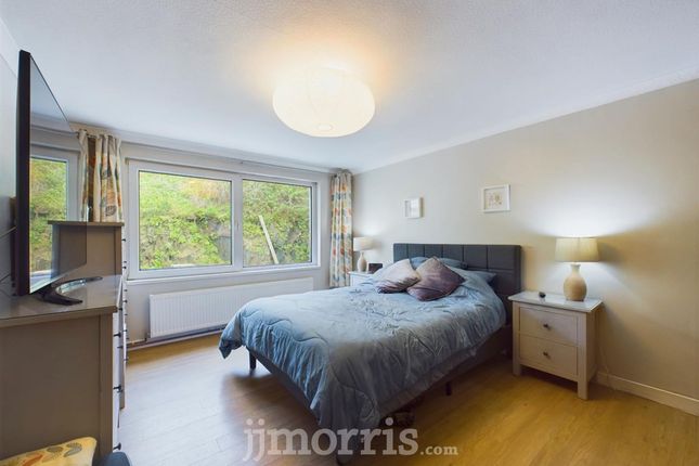 Treforgan Newydd, Cardigan photo 4