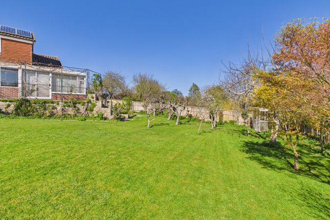 2A, Holford Road, Bridgwater photo 2