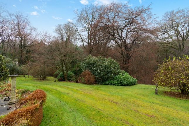 Detached house for sale in Sheephouse Lane, Abinger Common, Dorking, Surrey