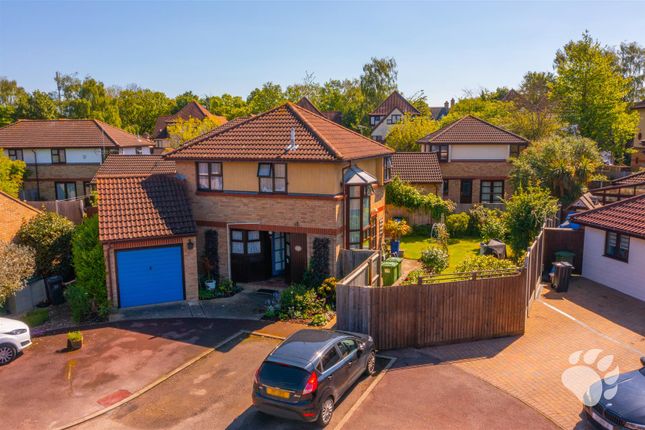 Thumbnail Detached house for sale in Osterley Drive, Langdon Hills