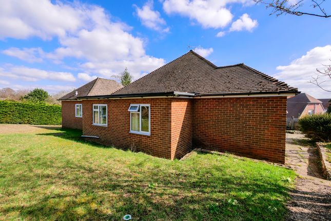 Detached house to rent in Thurmond Road, Winchester