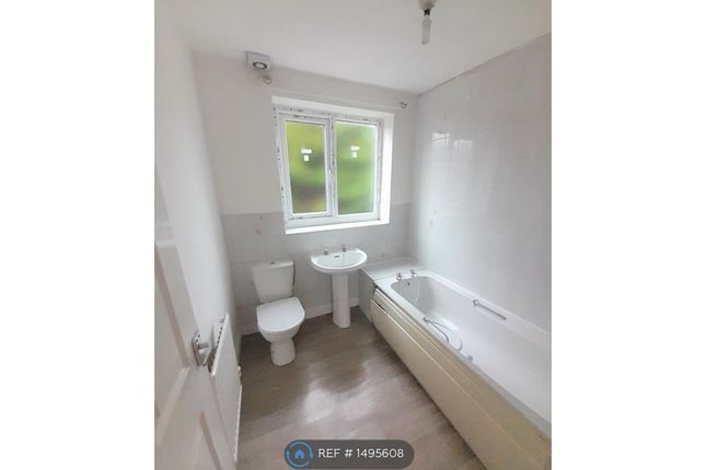 Thumbnail Terraced house to rent in Thomson Street, Stockport