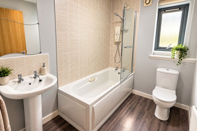 Flat Flat 8, 20, St Tridunana's Rest, Edinburgh photo 2