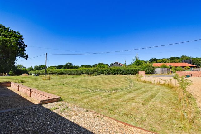 Front Garden.Jpg