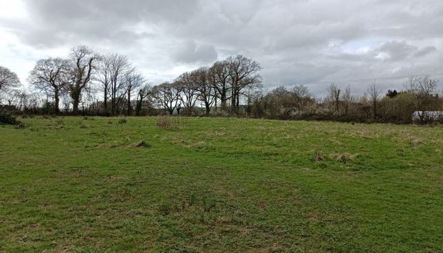 Land to rent in Harberton, Totnes