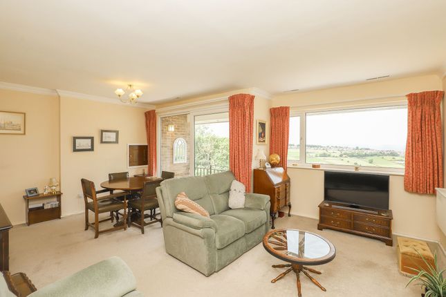 44 Moorbank Road, Sheffield photo 3