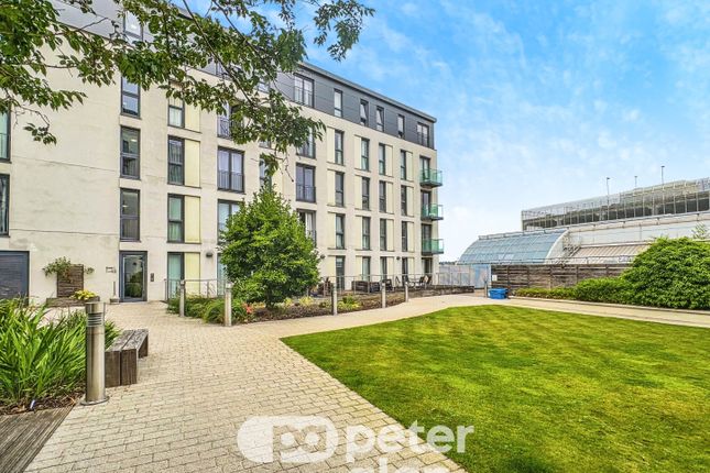 42, Cardiff photo 2