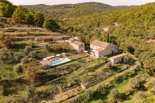 Thumbnail Villa for sale in Castellina In Chianti, Siena, Tuscany, Italy