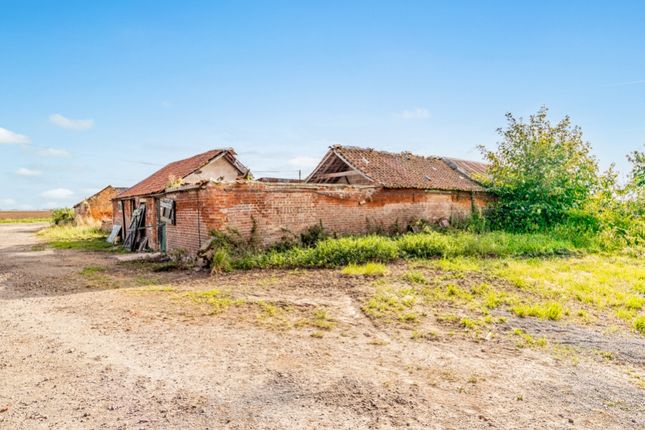 Land for sale in Morton North Drove, Bourne, Lincolnshire