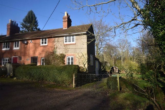 Thumbnail Semi-detached house for sale in Putley Common, Ledbury, Hereford