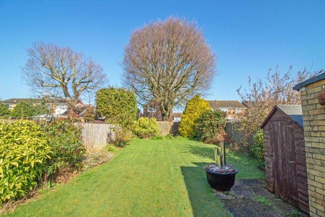 Semi-detached bungalow for sale in Buckland Close, Waterlooville
