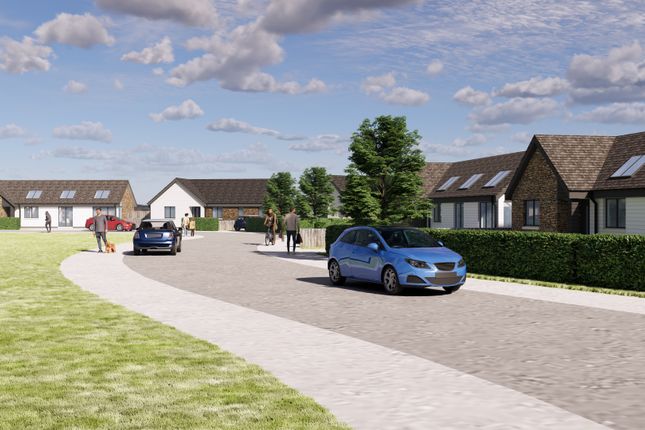 Main Road, Inverkeilor, Arbroath photo 4