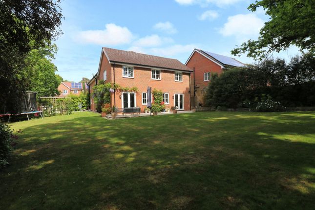 12 Maidman Place, Southampton photo 4