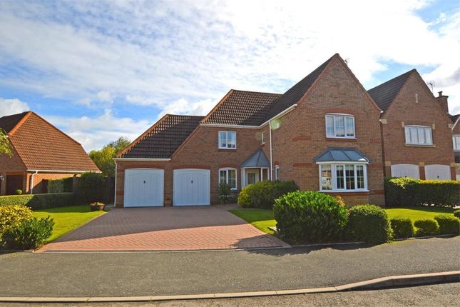 Thumbnail Detached house for sale in Gold Avenue, Cawston, Rugby