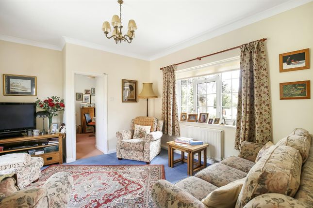 Qumari, Bullington Lane, Winchester photo 4