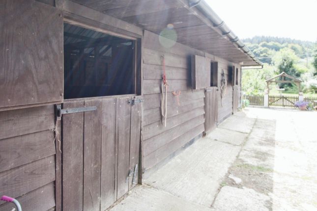 Highly Desirable Smallholding Property