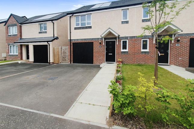 Knm0007Cupi Lead (2).Jpg