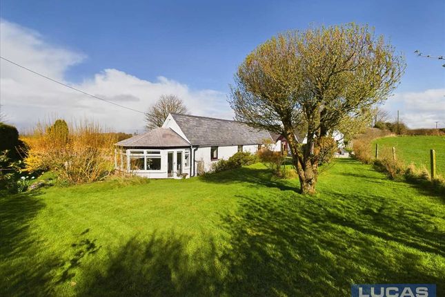 Cottage for sale in Ty Coed, Llangaffo, Llangaffo
