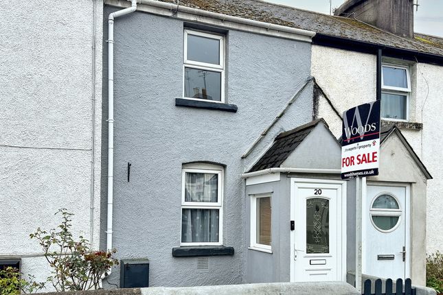 Thumbnail Terraced house for sale in Quay Road, Newton Abbot