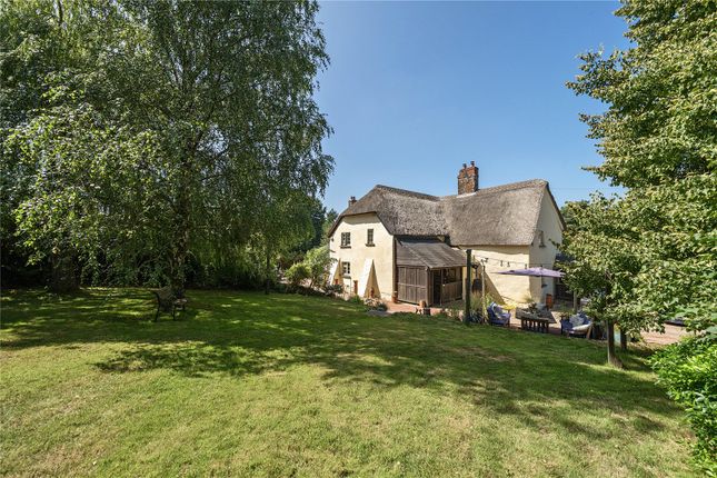 Luton Barton House,, Payhembury, Devon photo 3