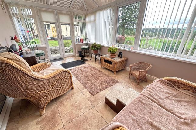 Penlon Gilfach, Saron, Llandysul photo 4