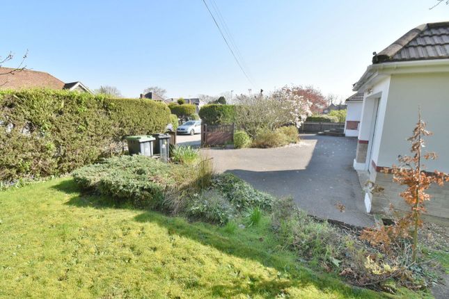 2, Elm Tree Walk, Ferndown photo 4