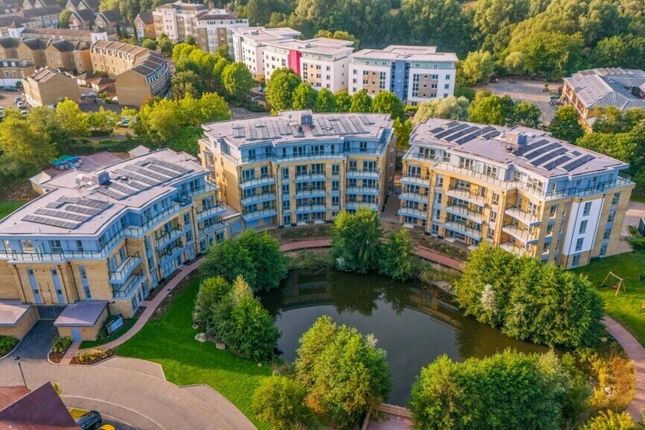 231449_296160_1_30_1