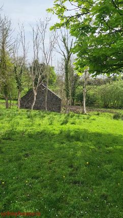 Thumbnail Detached house for sale in Drumalooaun, Swinford, Co. Mayo
