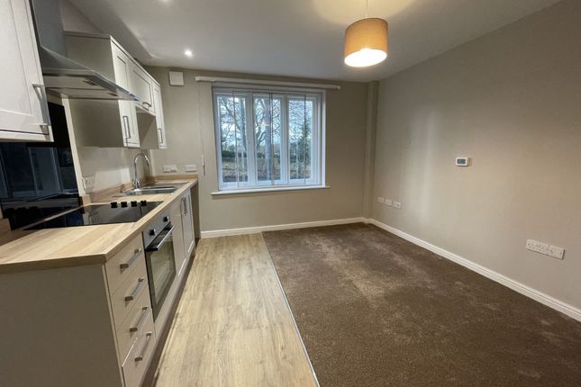 Thumbnail Flat to rent in Durham