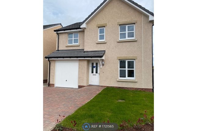 Thumbnail Detached house to rent in Melville Brodie Gardens, Kirkcaldy