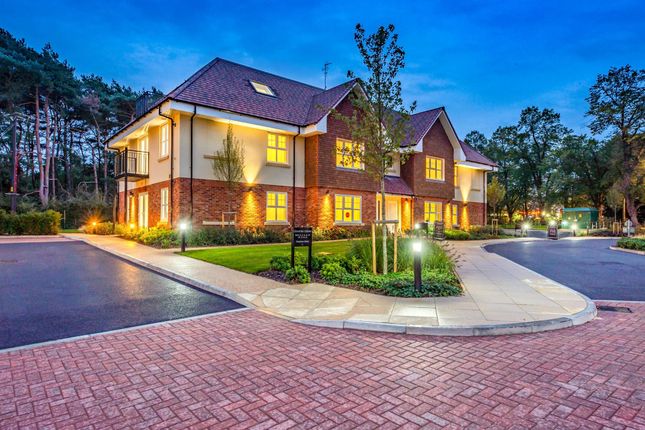 Homes To Let In Vinall Gardens Old Guildford Road Broadbridge