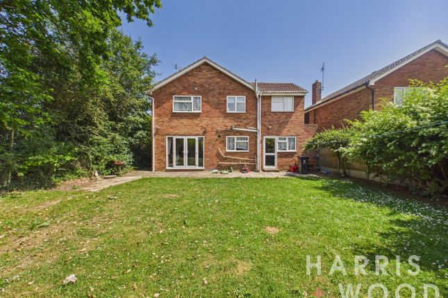 187 Thorpe Road, Clacton-On-Sea, Essex photo 4