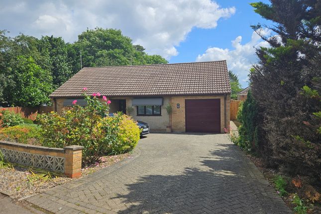 Thumbnail Detached bungalow for sale in Station Road, Manea, March
