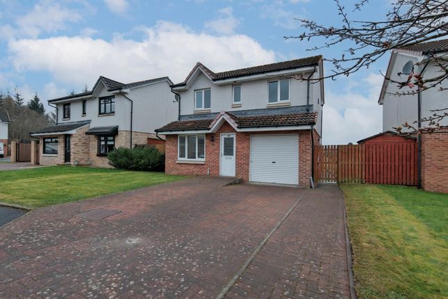 Detached house to rent in Bluebell Wynd, Wishaw