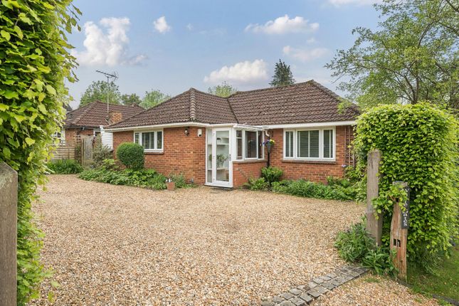 Thumbnail Bungalow for sale in Shere Road, West Horsley