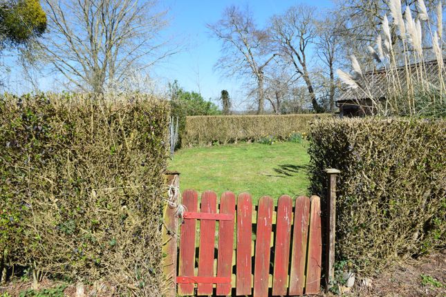 Home Farm,, Henlade, Somerset photo 4