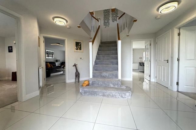 5, Nuthatch Close, Wynyard photo 4