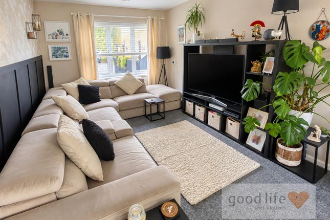 Short Grove, Seaham photo 2