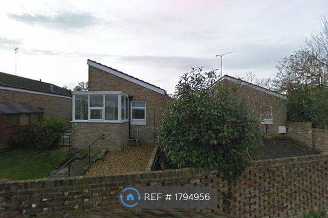 Thumbnail Bungalow to rent in Yew Tree Close, Yeovil