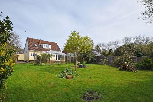 Thumbnail Detached house for sale in Thorn Court, Four Marks, Alton