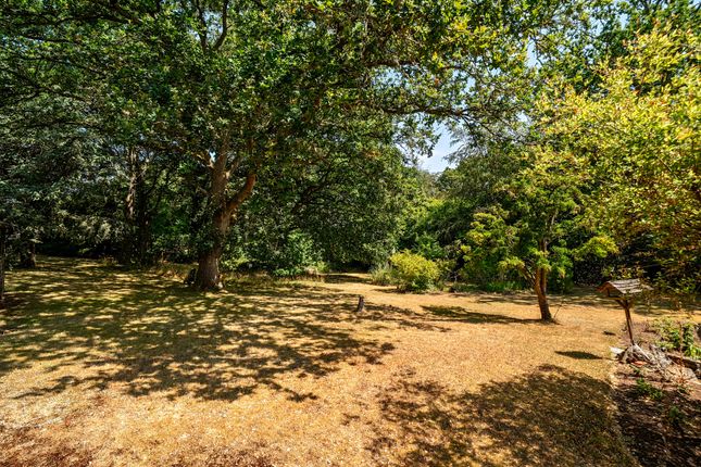 Point House, 55, Lynch Road, Farnham photo 4