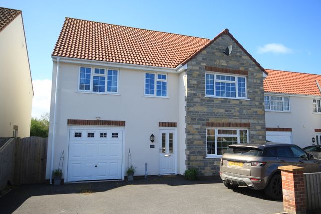 Thumbnail Detached house for sale in Puriton Hill, Puriton, Bridgwater