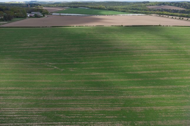 Fields To Front Of Property