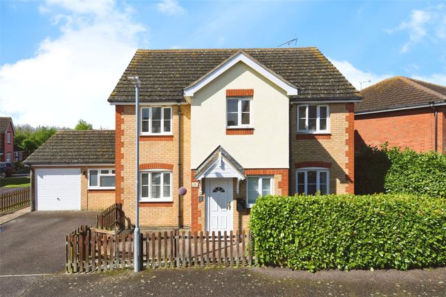 Thumbnail Detached house for sale in Buttercup Way, Southminster, Essex