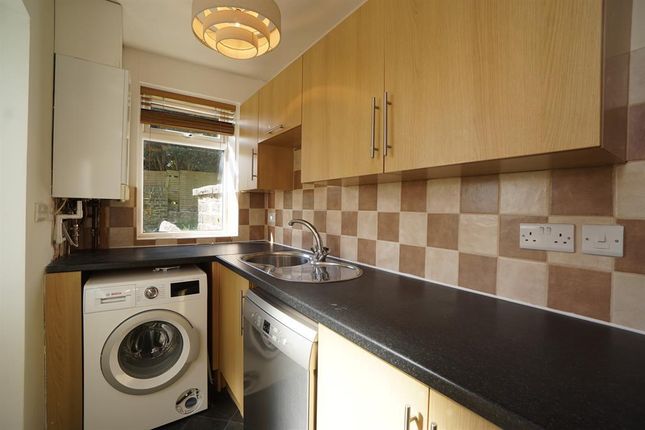 Thumbnail Terraced house for sale in Lydgate Lane, Crookes, Sheffield