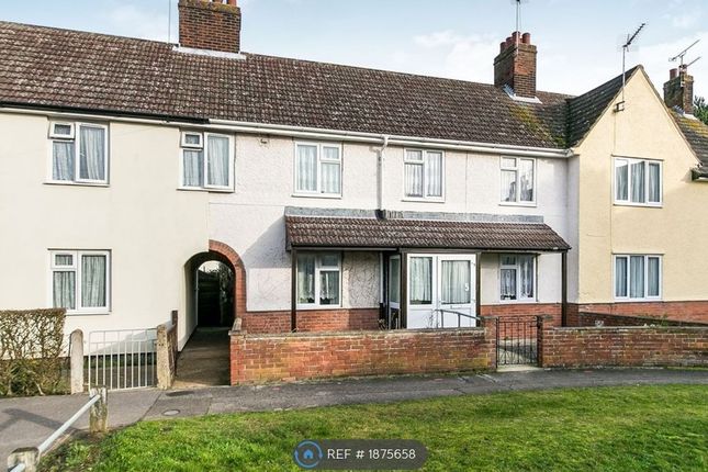 Thumbnail Terraced house to rent in Nacton Road, Ipswich