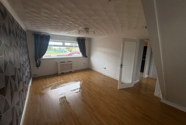 11, Motherwell photo 2