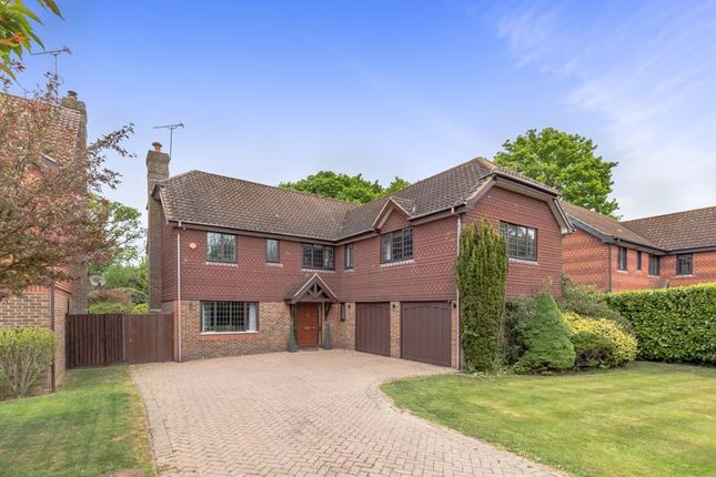 Thumbnail Detached house for sale in Hoewood, Small Dole, Henfield