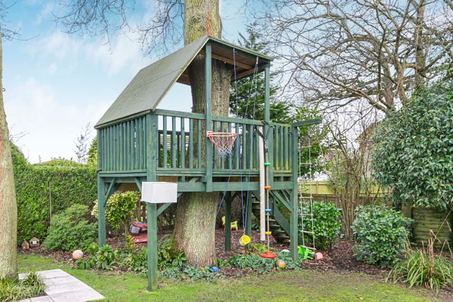 Play Area